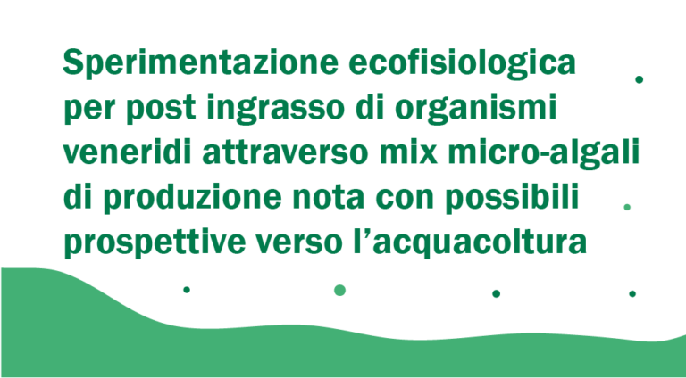 Sperimentazione ecofisiologica per post ingrasso di organismi veneridi attraverso mix micro-algali di produzione nota con possibili prospettive verso l’acquacoltura